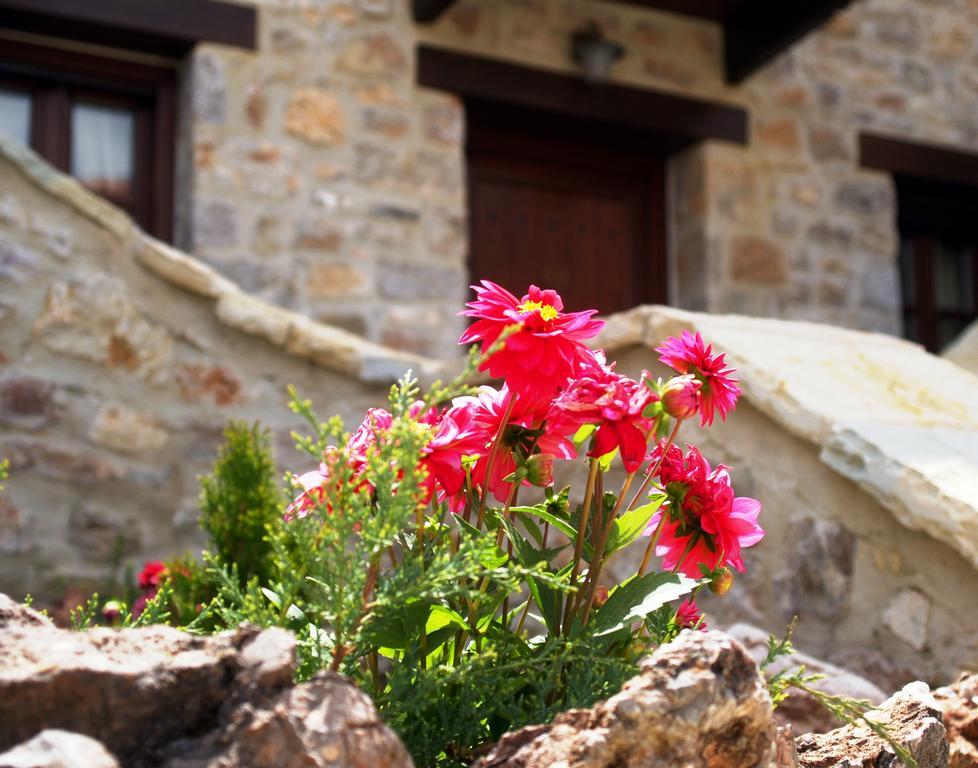 Oihalia Guesthouse Fidhákia Exteriör bild